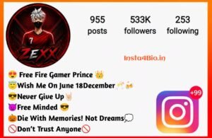 Free Fire Instagram Bio