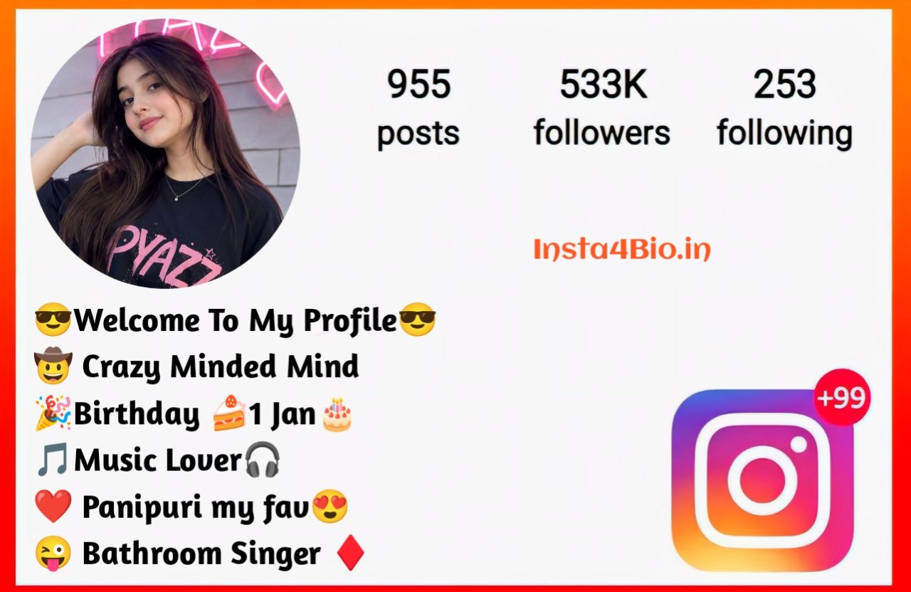 Instagram Bio For Girls Attitude