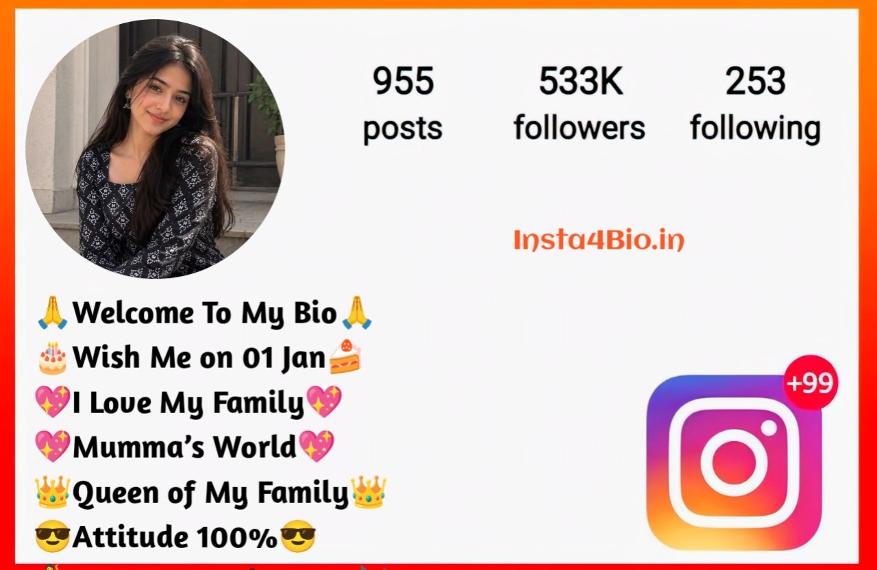 Instagram Bio For Girls Stylish Font