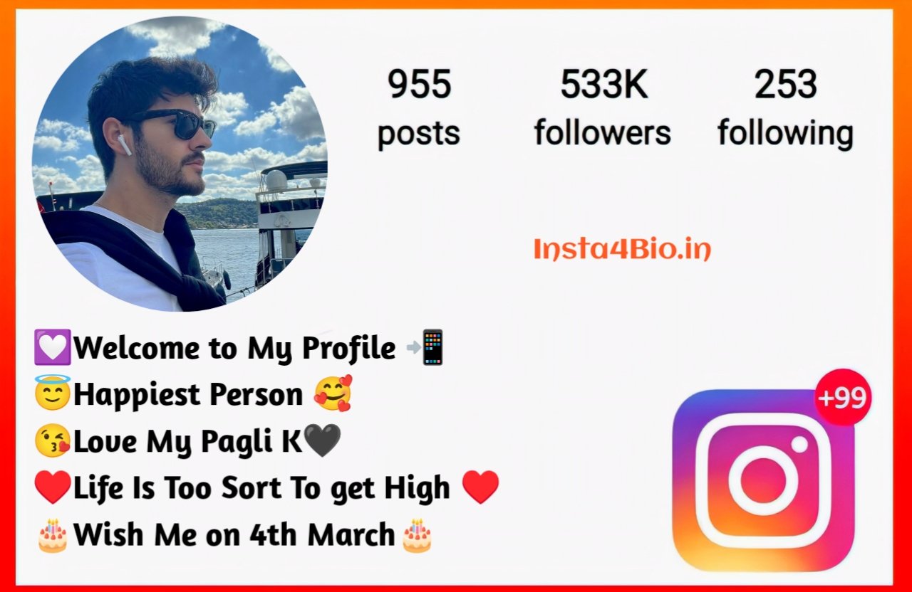 Stylish Instagram Bio With Emojis